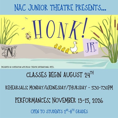 Honk JR